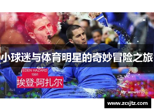 小球迷与体育明星的奇妙冒险之旅